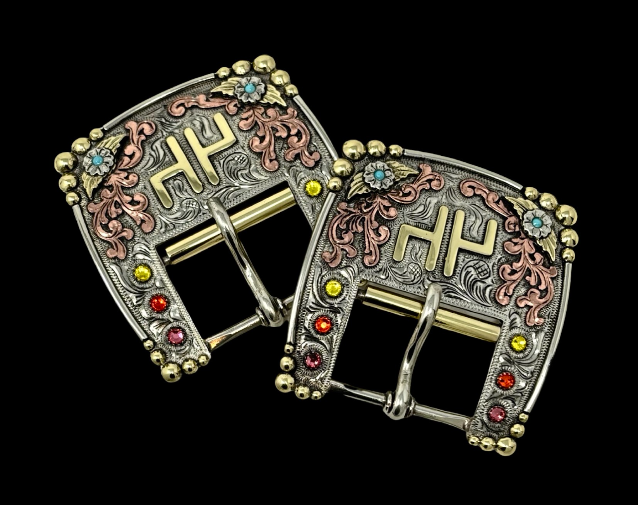 Back Cinch Buckles Set