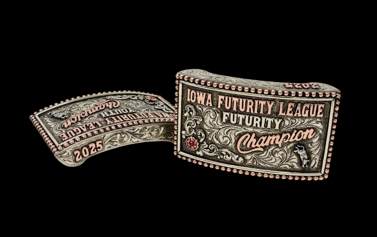 Box Buckles